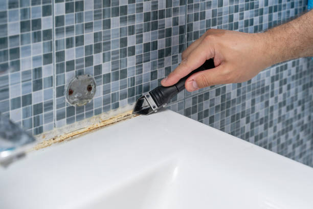 Best Basement Mold Remediation in Little River, SC